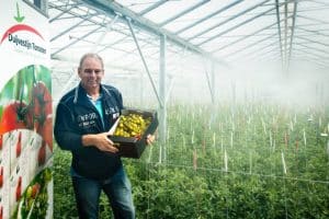 Duijvestijn Tomatenkwekerij met een doos tomaatjes uit eigen kas