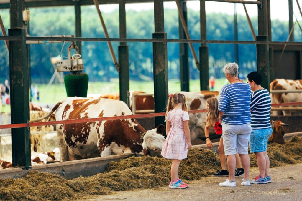 Bieslandsedagen in Delfgauw